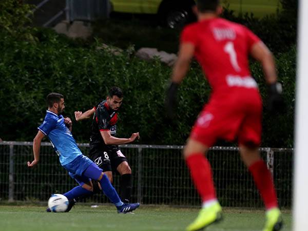 (נמרוד גליקמן)