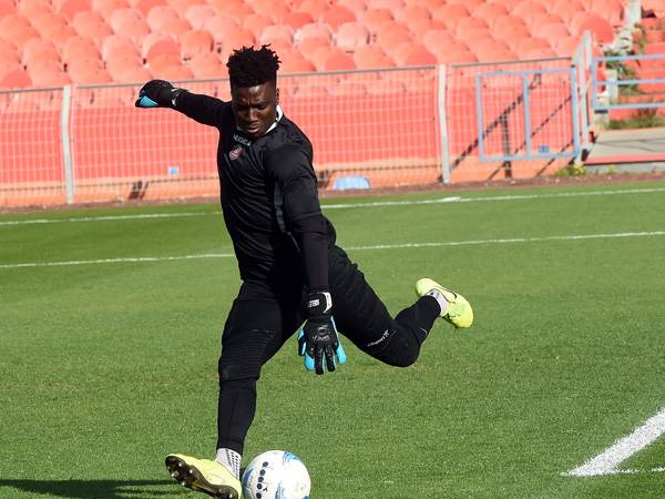 (ברני ארדוב)