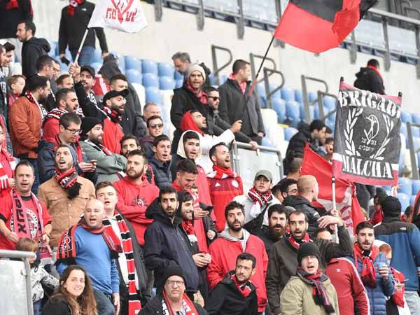 (ברני ארדוב)