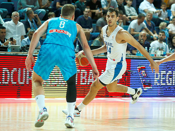 הפנים לשבדיה (אלן שיבר)