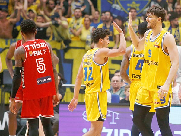 דומיננטיות מוחלטת (אלן שיבר)