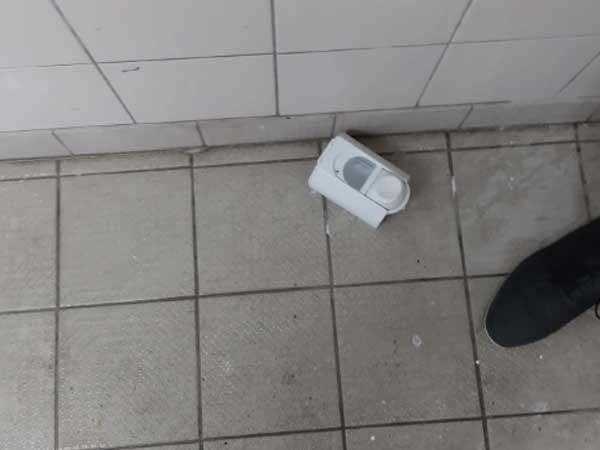 (באדיבות בני סכנין)