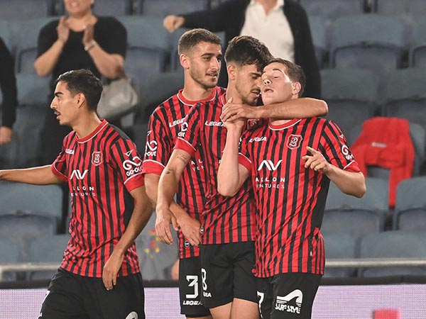 אלמגור כבש שער מוקדם (ברני ארדוב)