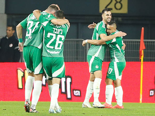 וגם כבשה מרגלי דין דוד (צילום: אלן שיבר)