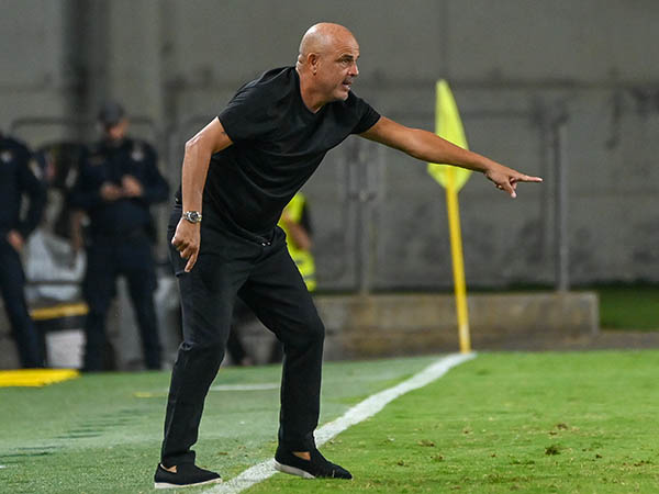 (ברני ארדוב)