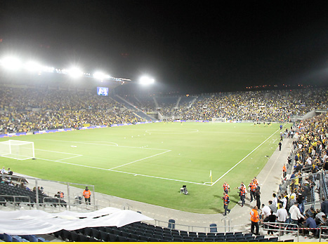 אירופה בטדי