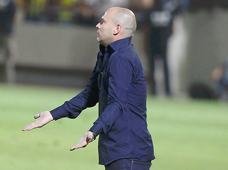 יש גם סיבות לאופטימיות. דומב (אלן שיבר)