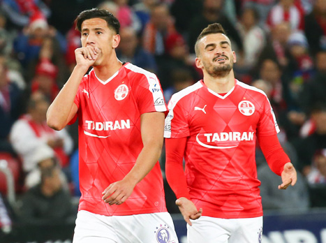 מצב הדשא משפיע על היכולת? (אלן שיבר)