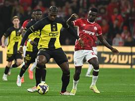 (ברני ארדוב)