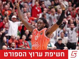 (אלן שיבר)