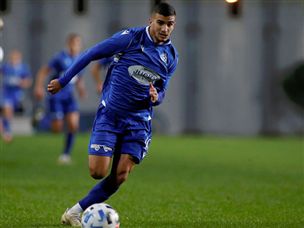 עבדה הירבה להחמיץ (אלן שיבר)