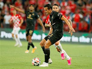 (צילום: אלן שיבר)