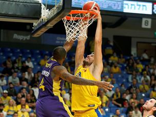 ז'יז'יץ' נהנה מתחת לסלים (אלן שיבר)