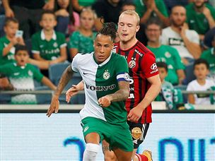 (צילום: אלן שיבר)