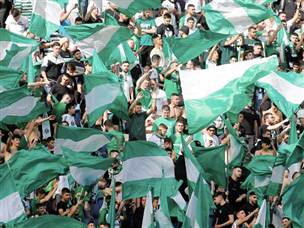 הכל היה ערוך ומוכן לחגיגה ירוקה (אלן שיבר)