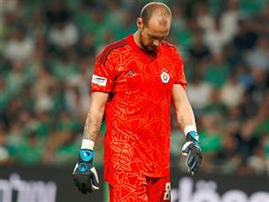 האורחים נראו עייפים ומותשים (אלן שיבר)