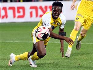 הנרי אדו. לא היה מספיק יעיל (אודי ציטיאט)