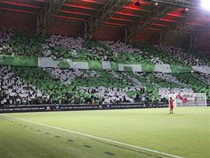 של אדום וירוק (צילום: מאור אלקסלסי)