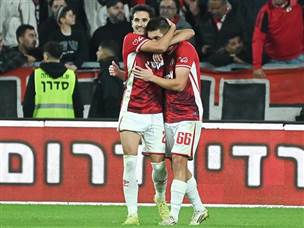 אבל לצערו זלטאנוביץ` מצא את השני (ברני ארדוב)