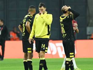 אכזבה בצהוב (ברני ארדוב)