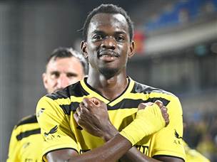 קונאטה הכפיל (ברני ארדוב)