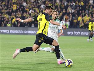 והשיגה פנדל (צילום: דני מרון)