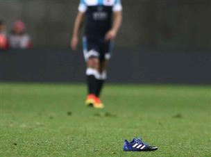 חידה: למי שייכת הנעל? (אלן שיבר)