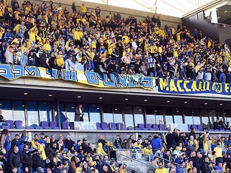 עמוס לא הופתע מאוהדי מכבי ת"א (ברני ארדוב)