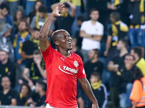 היום כבר כולם מעריכים. וואקמה (אלן שיבר)