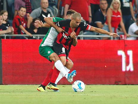 מחכים לחזור לדשא (אלן שיבר)