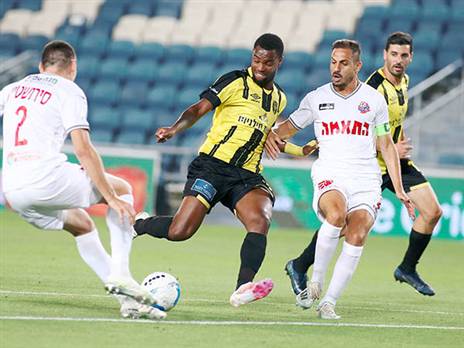 זכה למחמאות מחבריו. פלומן (צילום: אלן שיבר)