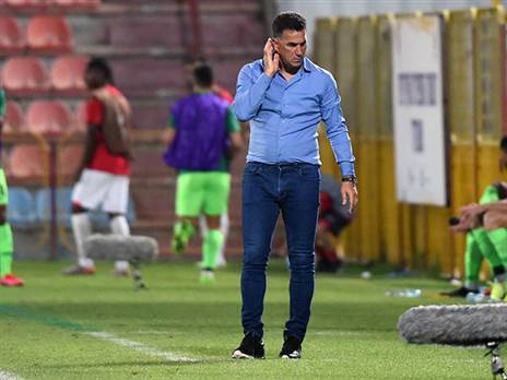 "ממשיך? תישאלו את הבעלים" בלבול (צילום: ברני ארדוב)