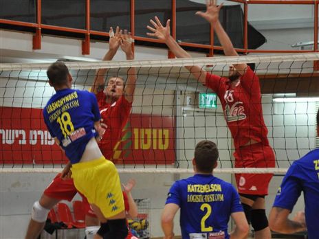 (צילום: רינת ורדי, באדיבות איגוד הכדורעף)