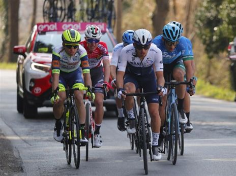 הופעה יפה, ניב (בטיני פוטו)