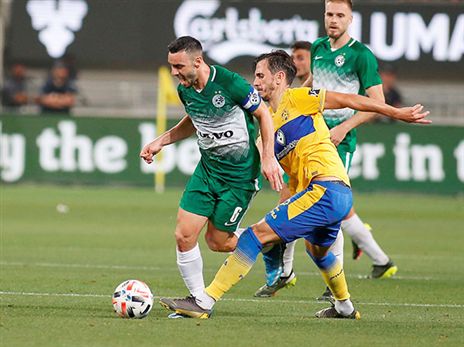 השריד האחרון מ-2016. לביא (צילום: אלן שיבר)