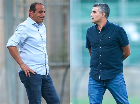 סילבס או רפואה? ההחלטה בקרוב (אלן שיבר)