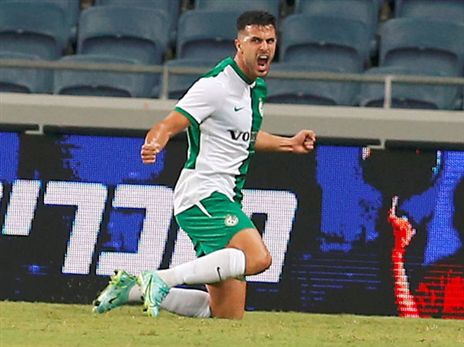 דוד. החיזוק לחוד הירוק (אלן שיבר)