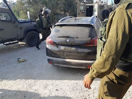 (צילום: פוינטר)