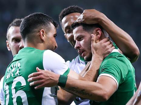 שמחה עצומה בירוק (מאור אלקסלסי)