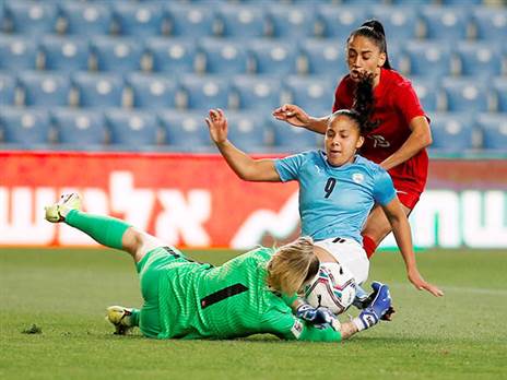 קרדיט: אלן שיבר