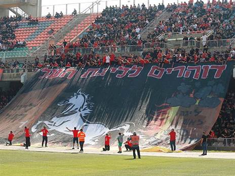 (צילום: אלן שיבר)