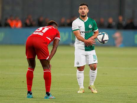 אבו פאני. צהוב שני טפשי (אלן שיבר)