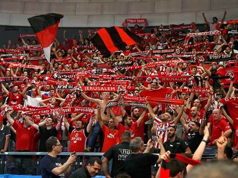 בבירה מקווים לארנה מלאה (אלן שיבר)