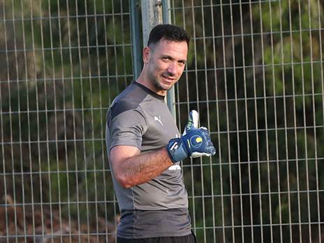 יוביל את הנבחרת ליורו? (אלן שיבר)