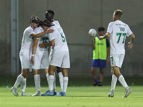 (צילום: לירון מולדובן)