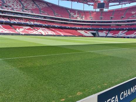 חיפה תצליח להשיג נקודות?