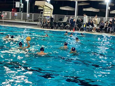 קרדיט: איגוד הכדורמים