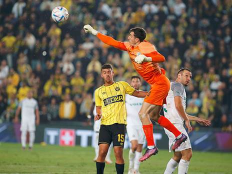 משיכה של היד יכולה להזיק לרצועות הכתף (אלן שיבר)