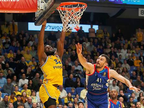 ניבו מול ז'יז'יץ' (אלן שיבר)