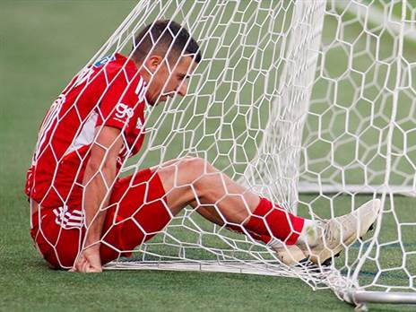 ורד. מאוכזב, לא כועס (אלן שיבר)